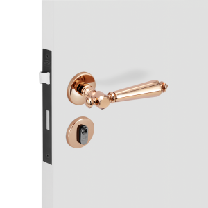PREMIUM | ROI CB - COBRE BRILHANTE - CB | EXTERNO