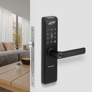 PREMIUM | D210 PP - PINTADO PRETO - PP | EXTERNO